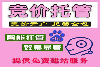 广告行业中的信息流大师：成功案例解析